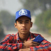 Narayan Shukla-Freelancer in Ludhiana,India