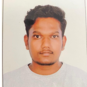 Aswin Thiyagarajan-Freelancer in Bangalore,India