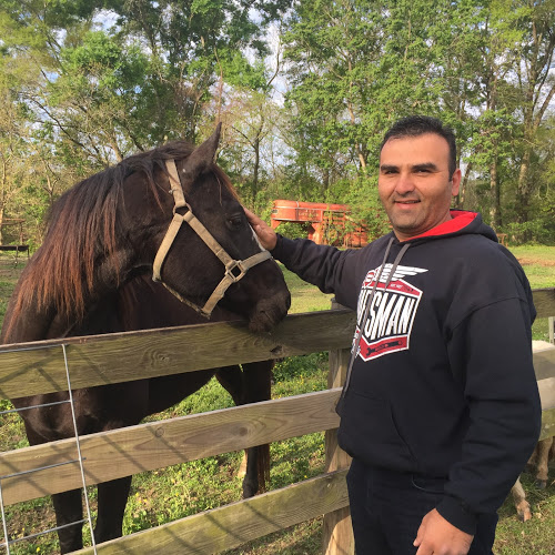 Wisam Rabeea-Freelancer in Silver Spring,USA