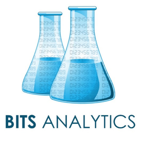 Bits Analytics-Freelancer in Hyderabad,India