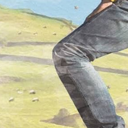 haar ttjj-Freelancer in Gampola,Sri Lanka