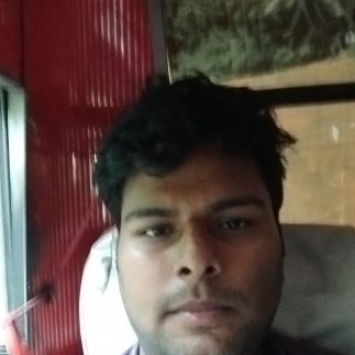 Ravindar Sharma-Freelancer in Bangalore,India