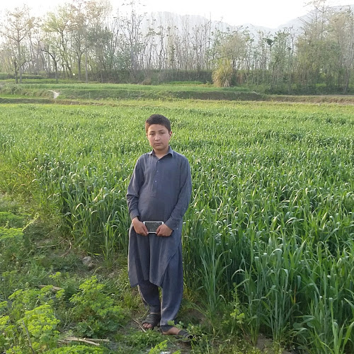 Abubakar Channel-Freelancer in Takht Bhai,Pakistan