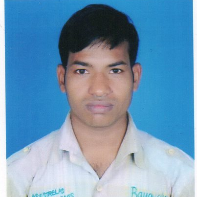 Dikshit Raj-Freelancer in patna,India