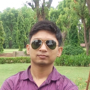 Amit Pareek-Freelancer in Jaipur,India