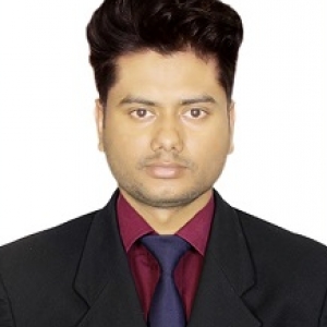 Md Anwar Hossain-Freelancer in Dhaka,Bangladesh
