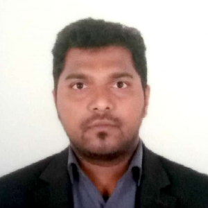Amarnath P-Freelancer in ,India
