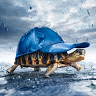 Truelancer profile picture for @turtle