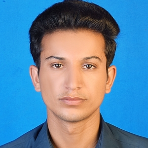 Abdul Majid-Freelancer in Karachi,Pakistan