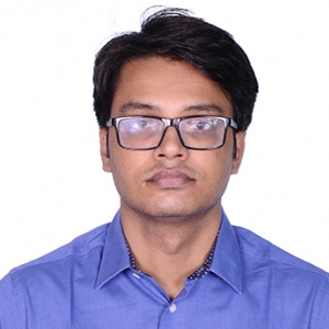 Aditya Roy-Freelancer in Chennai,India