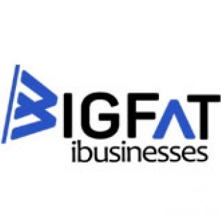 Bigfat ibusinesses-Freelancer in Gurgaon,India