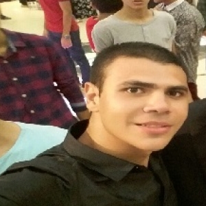 Mahmoud Ayman-Freelancer in Belbeis,Egypt