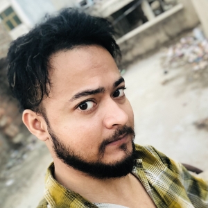 Zaigham Hussain-Freelancer in Allahabad,India