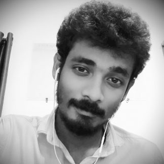 Leninraja T-Freelancer in Chennai,India