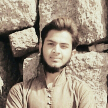 Mohd Zafar-Freelancer in karimnagar,India