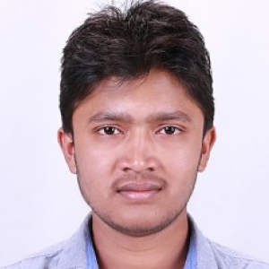 Ravi Shankar Kumar-Freelancer in Patna,India