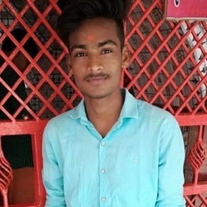 Avtar Pratap Singh-Freelancer in Etawah ,India