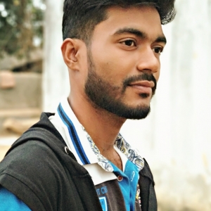 Narottam Das-Freelancer in ,India