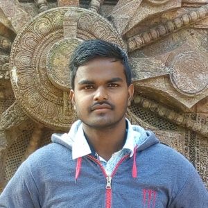 Debasis Sahoo-Freelancer in ,India