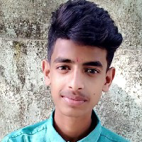 Prince Dhiman-Freelancer in ,India
