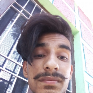 Sahil Jaswal-Freelancer in Bhatrala,India