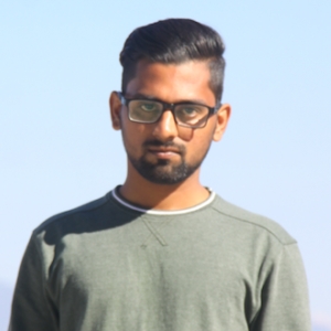 Saravan Kumar-Freelancer in Jodhpur,India