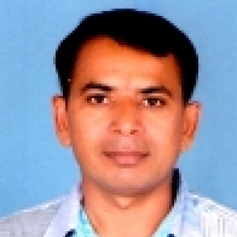 Dilipkumar Patel-Freelancer in Vadodara,India