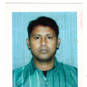 Rajib Prosad-Freelancer in ,India