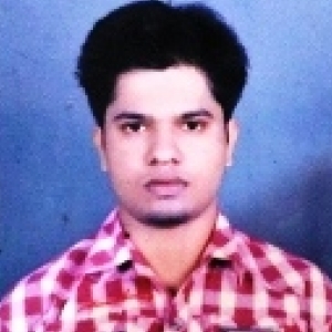 NILANJAN BAG-Freelancer in Asansol,India