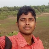 Prakash Dhibar-Freelancer in WEST BANGAL,India