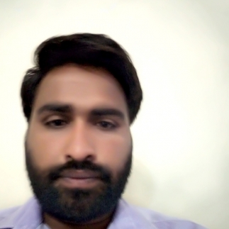 Ravi Patel-Freelancer in Dewas,India