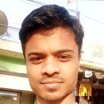Prashant Meshram-Freelancer in NARSINGHPUR,India