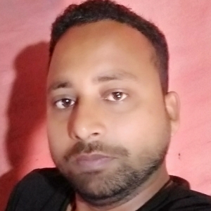 Md Ramiz Raja-Freelancer in ,India