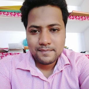 Amir Ansari-Freelancer in Allahabad,India