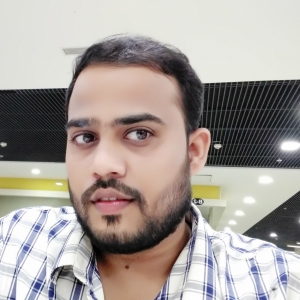 Murali Gandudi-Freelancer in ,India