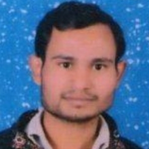 Jitendra Kumar-Freelancer in Firozabad,India