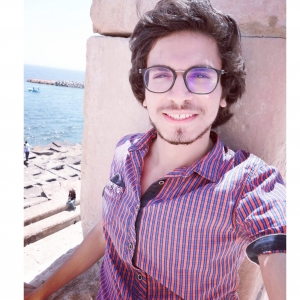 Mostafa Balaha-Freelancer in Cairo,Egypt