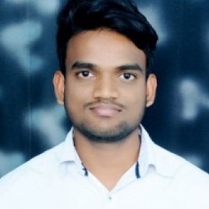 Salman Negalur-Freelancer in ,India