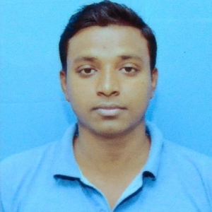 Biplab C-Freelancer in ,India