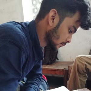 Faizan Ansari-Freelancer in Aligarh,India