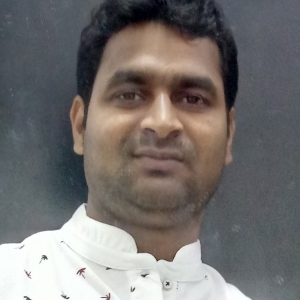 Somnath Pal-Freelancer in Kharagpur,India