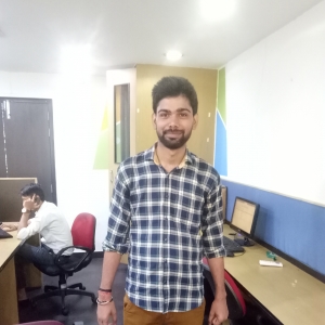 Pankaj Sharma-Freelancer in ,India