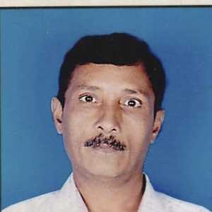 Diptesh  Kumar Desai-Freelancer in sanjeli  gujarat--india.,India
