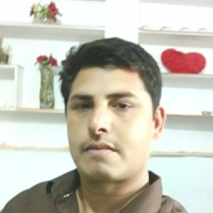 Mohammed Hanif-Freelancer in ,India