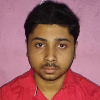 Biswajit Majumder-Freelancer in Duttapukur,India