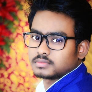 Somnath Roy-Freelancer in Duttapukur,India