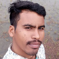 Swapan Roy-Freelancer in kaliaganj,India