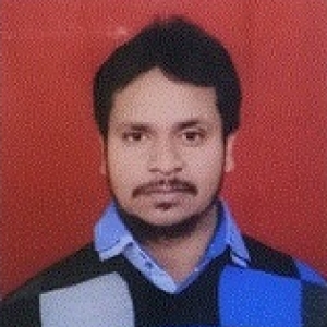 Ritesh Kumar Pali-Freelancer in New Delhi,India