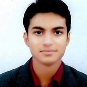Arjun Parmar-Freelancer in ,India