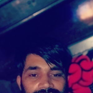 Vikram Singh-Freelancer in Panipat,India